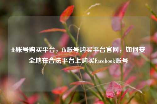 fb账号购买平台，fb账号购买平台官网，如何安全地在合法平台上购买Facebook账号