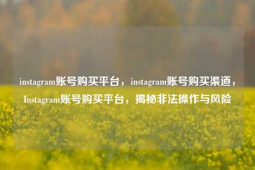 instagram账号购买平台，instagram账号购买渠道，Instagram账号购买平台，揭秘非法操作与风险