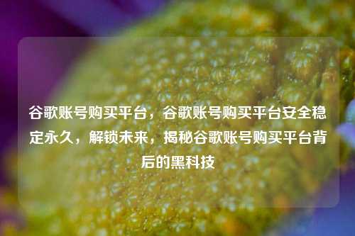 谷歌账号购买平台，谷歌账号购买平台安全稳定永久，解锁未来，揭秘谷歌账号购买平台背后的黑科技