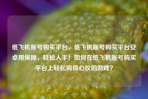 纸飞机账号购买平台，纸飞机账号购买平台安卓用保障，轻松入手！如何在纸飞机账号购买平台上轻松购得心仪的游戏？