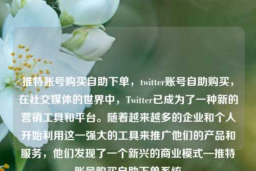 推特账号购买自助下单，twitter账号自助购买，在社交媒体的世界中，Twitter已成为了一种新的营销工具和平台。随着越来越多的企业和个人开始利用这一强大的工具来推广他们的产品和服务，他们发现了一个新兴的商业模式—推特账号购买自助下单系统