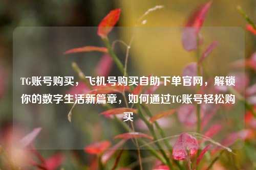 TG账号购买，飞机号购买自助下单官网，解锁你的数字生活新篇章，如何通过TG账号轻松购买