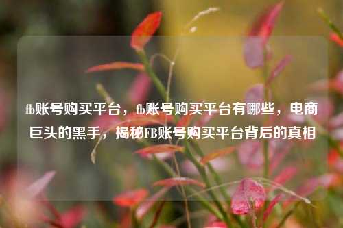fb账号购买平台，fb账号购买平台有哪些，电商巨头的黑手，揭秘FB账号购买平台背后的真相