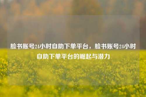 脸书账号24小时自助下单平台，脸书账号24小时自助下单平台的崛起与潜力