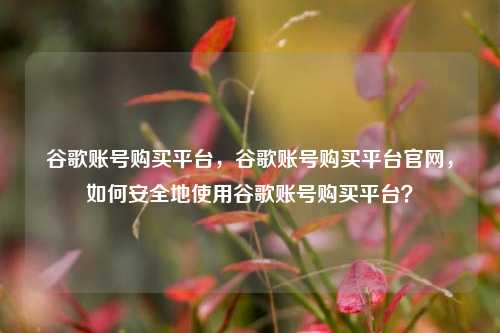 谷歌账号购买平台，谷歌账号购买平台官网，如何安全地使用谷歌账号购买平台？