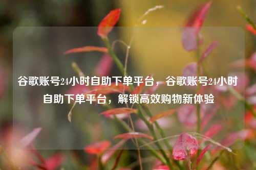 谷歌账号24小时自助下单平台，谷歌账号24小时自助下单平台，解锁高效购物新体验