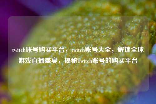 twitch账号购买平台，twitch账号大全，解锁全球游戏直播盛宴，揭秘Twitch账号的购买平台