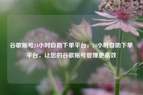 谷歌账号24小时自助下单平台，24小时自助下单平台，让您的谷歌账号管理更高效