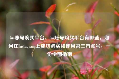 ins账号购买平台，ins账号购买平台有哪些，如何在Instagram上成功购买和使用第三方账号，一份全面指南