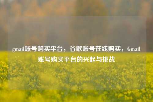 gmail账号购买平台，谷歌账号在线购买，Gmail账号购买平台的兴起与挑战