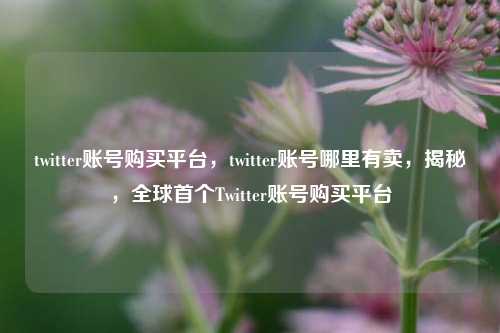twitter账号购买平台，twitter账号哪里有卖，揭秘，全球首个Twitter账号购买平台