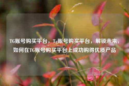 TG账号购买平台，Tg账号购买平台，解锁未来，如何在TG账号购买平台上成功购得优质产品