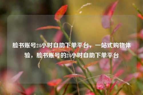 脸书账号24小时自助下单平台，一站式购物体验，脸书账号的24小时自助下单平台