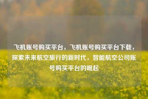 飞机账号购买平台，飞机账号购买平台下载，探索未来航空旅行的新时代，智能航空公司账号购买平台的崛起