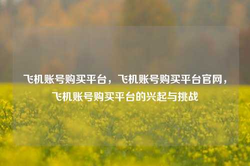 飞机账号购买平台，飞机账号购买平台官网，飞机账号购买平台的兴起与挑战