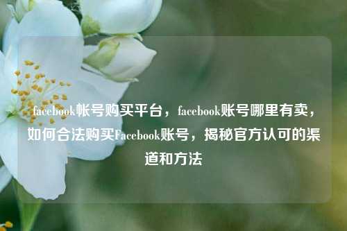 facebook帐号购买平台，facebook账号哪里有卖，如何合法购买Facebook账号，揭秘官方认可的渠道和方法