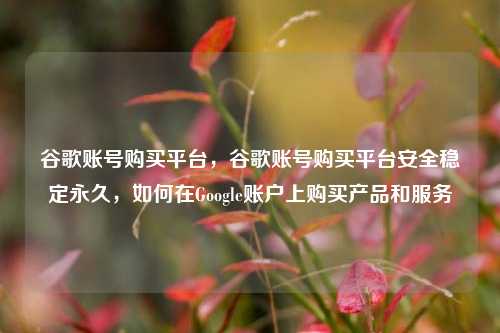 谷歌账号购买平台，谷歌账号购买平台安全稳定永久，如何在Google账户上购买产品和服务