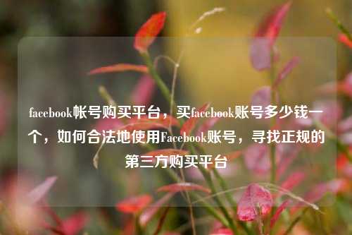 facebook帐号购买平台，买facebook账号多少钱一个，如何合法地使用Facebook账号	，寻找正规的第三方购买平台  第1张