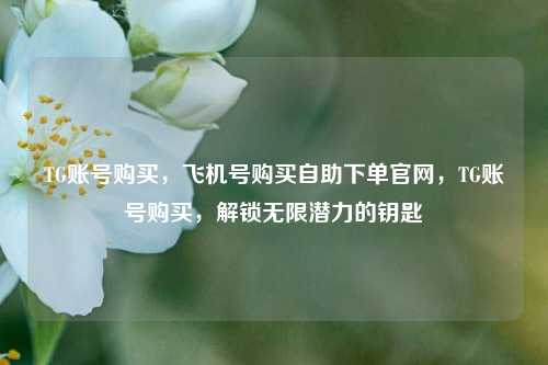 TG账号购买，飞机号购买自助下单官网，TG账号购买，解锁无限潜力的钥匙