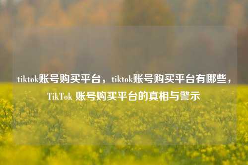 tiktok账号购买平台，tiktok账号购买平台有哪些，TikTok 账号购买平台的真相与警示