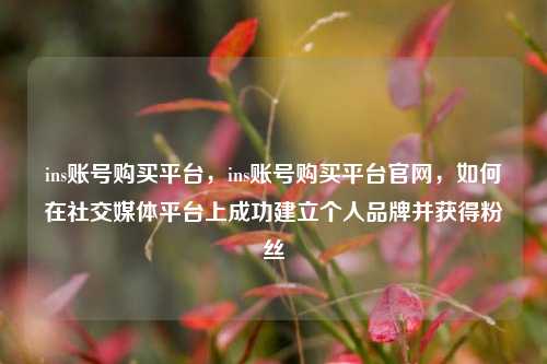 ins账号购买平台，ins账号购买平台官网，如何在社交媒体平台上成功建立个人品牌并获得粉丝