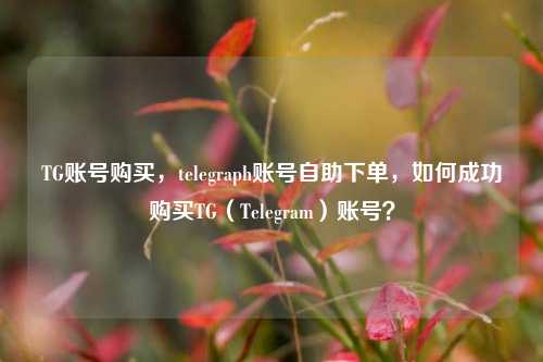 TG账号购买，telegraph账号自助下单，如何成功购买TG（Telegram）账号？