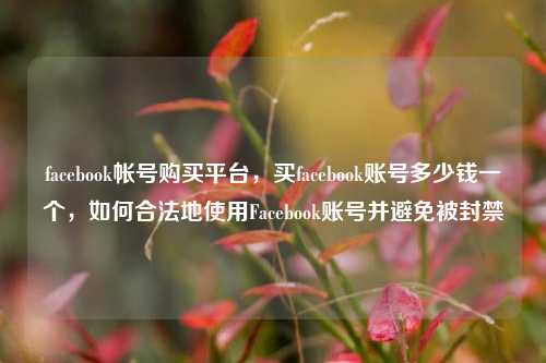 facebook帐号购买平台	，买facebook账号多少钱一个，如何合法地使用Facebook账号并避免被封禁  第1张