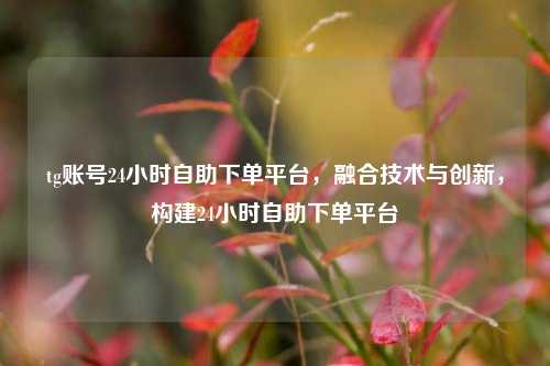 tg账号24小时自助下单平台，融合技术与创新，构建24小时自助下单平台