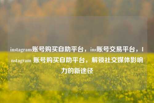 instagram账号购买自助平台，ins账号交易平台，Instagram 账号购买自助平台，解锁社交媒体影响力的新途径