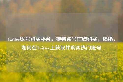 twitter账号购买平台，推特账号在线购买，揭秘	，如何在Twitter上获取并购买热门账号  第1张