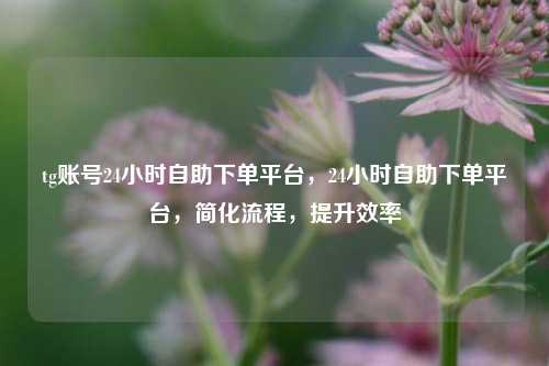 tg账号24小时自助下单平台，24小时自助下单平台，简化流程，提升效率