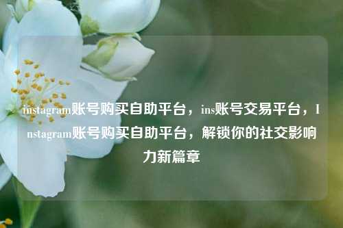 instagram账号购买自助平台，ins账号交易平台，Instagram账号购买自助平台，解锁你的社交影响力新篇章