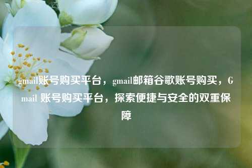gmail账号购买平台，gmail邮箱谷歌账号购买，Gmail 账号购买平台，探索便捷与安全的双重保障