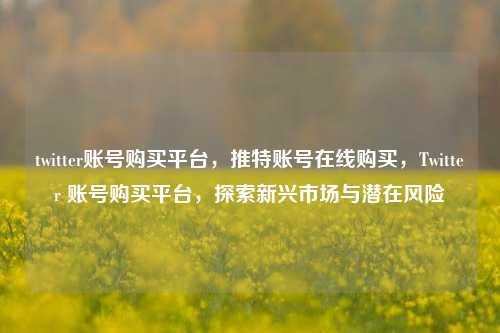 twitter账号购买平台，推特账号在线购买，Twitter 账号购买平台，探索新兴市场与潜在风险