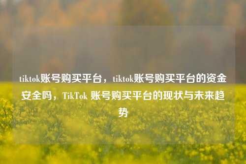 tiktok账号购买平台，tiktok账号购买平台的资金安全吗，TikTok 账号购买平台的现状与未来趋势