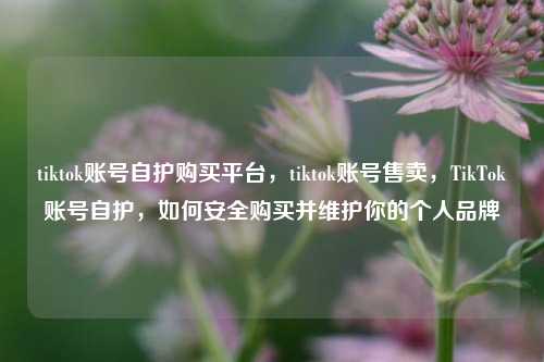 tiktok账号自护购买平台，tiktok账号售卖，TikTok账号自护，如何安全购买并维护你的个人品牌