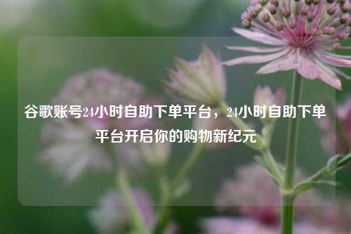 谷歌账号24小时自助下单平台，24小时自助下单平台开启你的购物新纪元  第1张