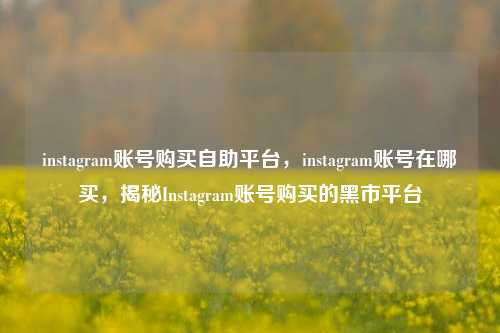 instagram账号购买自助平台，instagram账号在哪买，揭秘Instagram账号购买的黑市平台