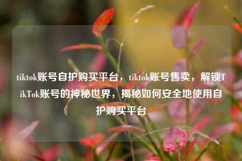 tiktok账号自护购买平台，tiktok账号售卖，解锁TikTok账号的神秘世界，揭秘如何安全地使用自护购买平台