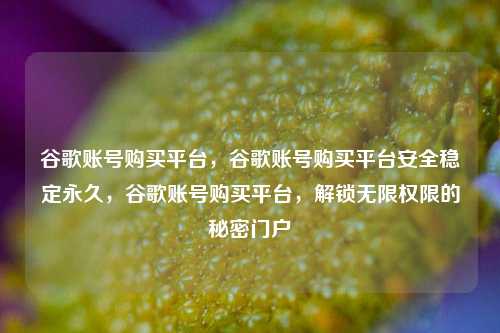 谷歌账号购买平台，谷歌账号购买平台安全稳定永久	，谷歌账号购买平台，解锁无限权限的秘密门户  第1张