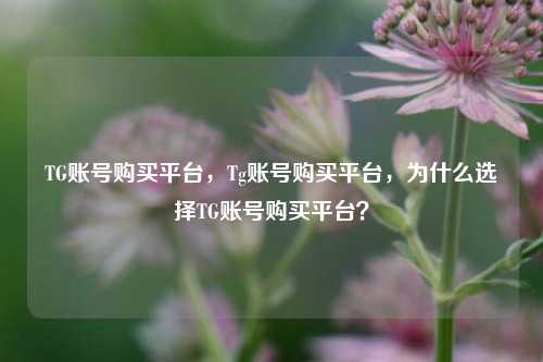 TG账号购买平台，Tg账号购买平台，为什么选择TG账号购买平台？