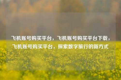 飞机账号购买平台，飞机账号购买平台下载，飞机账号购买平台，探索数字旅行的新方式
