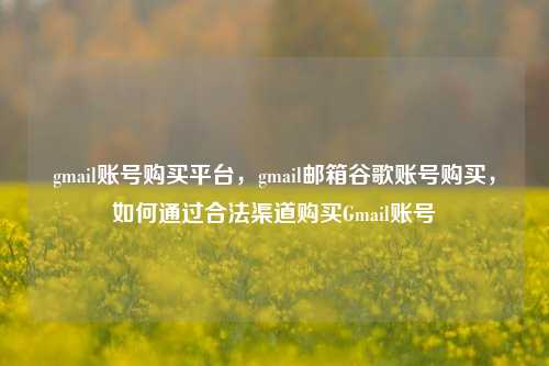 gmail账号购买平台	，gmail邮箱谷歌账号购买，如何通过合法渠道购买Gmail账号  第1张