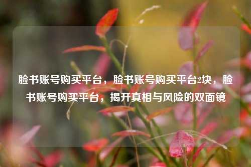 脸书账号购买平台，脸书账号购买平台2块，脸书账号购买平台，揭开真相与风险的双面镜