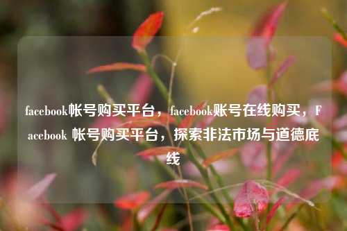 facebook帐号购买平台，facebook账号在线购买，Facebook 帐号购买平台，探索非法市场与道德底线  第1张