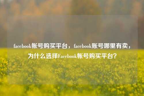 facebook帐号购买平台，facebook账号哪里有卖	，为什么选择Facebook帐号购买平台？  第1张