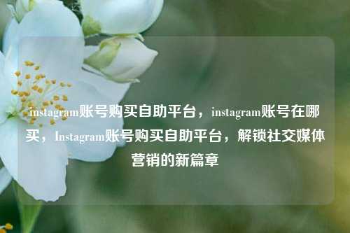 instagram账号购买自助平台，instagram账号在哪买，Instagram账号购买自助平台，解锁社交媒体营销的新篇章
