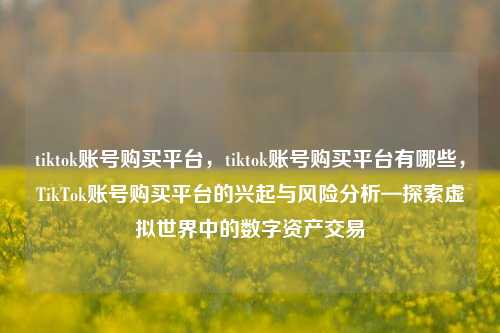 tiktok账号购买平台，tiktok账号购买平台有哪些，TikTok账号购买平台的兴起与风险分析—探索虚拟世界中的数字资产交易  第1张