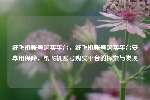 纸飞机账号购买平台，纸飞机账号购买平台安卓用保障，纸飞机账号购买平台的探索与发现