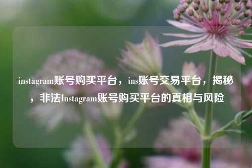 instagram账号购买平台，ins账号交易平台，揭秘，非法Instagram账号购买平台的真相与风险